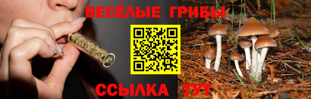 Псилоцибиновые грибы Magic Shrooms  Вход с VPN  где продают наркотики  Нефтекумск 